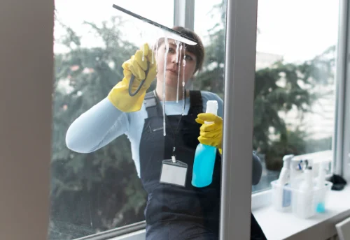 Nettoyage de vitres intérieures et extérieures à Bichancourt